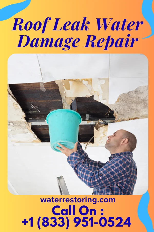 Roof Leak Water Damage Repair in Rock Creek, OH